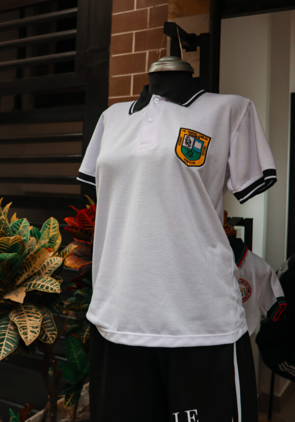 IMG_9778 CAMISETA COLEGIO RAFAEL J MEJIA